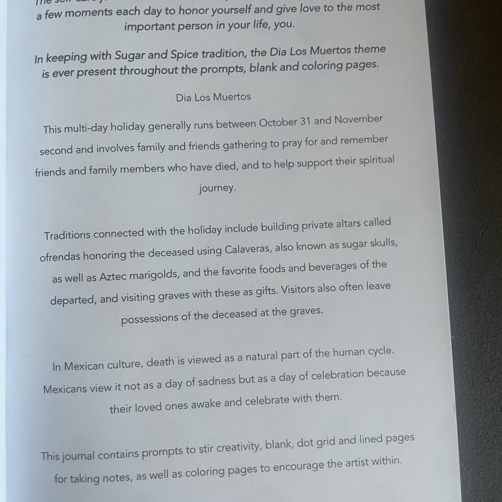 Sugar and Spice A Journal - Picture 3 of 7